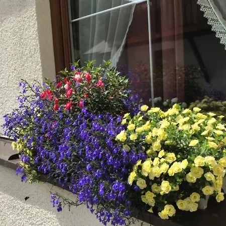 Garni Senn Hotel